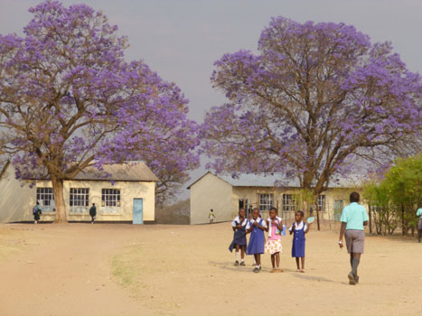 life in Zimbabwe village children families mbira marimba